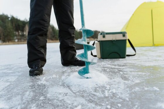 pexels-tima-miroshnichenko-6831108