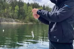 strömming2