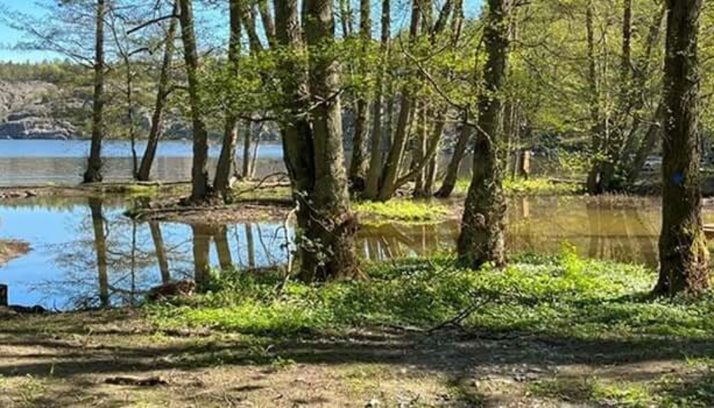 vrakviken-maj-2024-1.1000x350-699488408-rszww1000h350-90